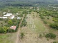 Продава ПАРЦЕЛ, област Варна, с. Бояна • 24000 € / 46939.92 лв. • 38095881 5 — Holmes.bg Продава ПАРЦЕЛ, област Варна, с. Бояна • 24000 € / 46939.92 лв. • 38095881 5
