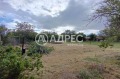 Продава ПАРЦЕЛ, област Варна, с. Аврен • 21000 € / 41072.43 лв. • 55123527 2 — Holmes.bg Продава ПАРЦЕЛ, област Варна, с. Аврен • 21000 € / 41072.43 лв. • 55123527 2