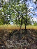 Продава ПАРЦЕЛ, област Варна, гр. Игнатиево • 49000 € • 21175919 4 — Holmes.bg Продава ПАРЦЕЛ, област Варна, гр. Игнатиево • 49000 € • 21175919 4
