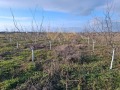 Продава ПАРЦЕЛ, град Варна, м-т Добрева чешма • 79000 € • 49090248 7 — Holmes.bg Продава ПАРЦЕЛ, град Варна, м-т Добрева чешма • 79000 € • 49090248 7