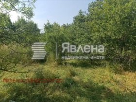 Продава Парцел, с. Фазаново