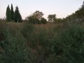 Продава ПАРЦЕЛ, град Варна, м-т Орехчето • 20000 € / 39116.60 лв. • 75556674 2 — Holmes.bg Продава ПАРЦЕЛ, град Варна, м-т Орехчето • 20000 € / 39116.60 лв. • 75556674 2