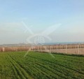 Продава ПАРЦЕЛ, област Бургас, с. Невестино • 8000 € / 15646.64 лв. • 47361720 1 — Holmes.bg Продава ПАРЦЕЛ, област Бургас, с. Невестино • 8000 € / 15646.64 лв. • 47361720 1