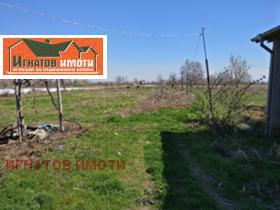 Продажба на имоти в с. Черногорово, област Пазарджик - изображение 9 