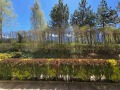 Продава 2-СТАЕН, област Благоевград, гр. Разлог • 75000 € / 146687.25 лв. • 74392600 1 — Holmes.bg Продава 2-СТАЕН, област Благоевград, гр. Разлог • 75000 € / 146687.25 лв. • 74392600 1