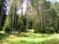 Продава Земеделска земя област Хасково , с. Българска поляна , 7 дка | 85386129 — Imoti.com Продава Земеделска земя област Хасково , с. Българска поляна , 7 дка | 85386129