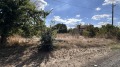 Продава Къща област Бургас , с. Вратица , 75 кв.м | 66148388 — Imoti.com Продава Къща област Бургас , с. Вратица , 75 кв.м | 66148388