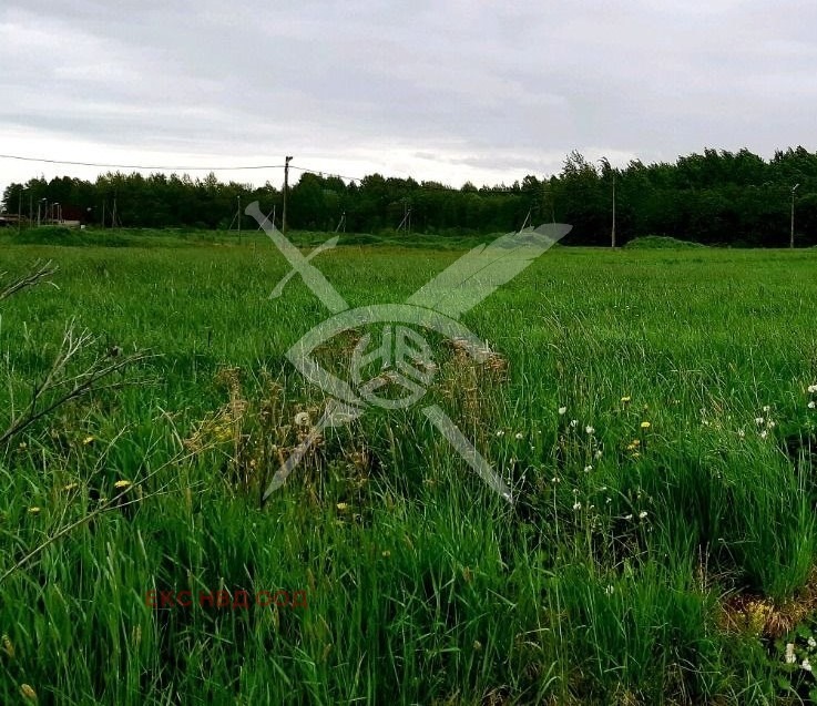 Продава ПАРЦЕЛ, област Бургас, с. Малина • 21000 € / 41072.43 лв. • 70181660 1 — Holmes.bg Продава ПАРЦЕЛ, област Бургас, с. Малина • 21000 € / 41072.43 лв. • 70181660 1