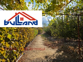 Обява Продава ЗЕМЕДЕЛСКА ЗЕМЯ,с. Боровец, област Кюстендил>