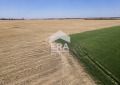 Продава Земеделска земя област София , гр. Костинброд , 4.03 дка | 88320989 — Imoti.com Продава Земеделска земя област София , гр. Костинброд , 4.03 дка | 88320989