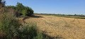 Продава ПАРЦЕЛ, област Добрич, с. Победа • 13000 € • 43151989 2 — Holmes.bg Продава ПАРЦЕЛ, област Добрич, с. Победа • 13000 € • 43151989 2