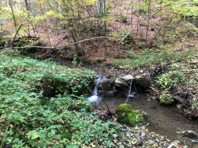 Продава КЪЩА | Imot.bg — малка снимка 3