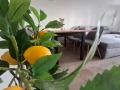 Продава 1-СТАЕН, Гърция, Кавала • 139000 € / 271860.37 лв. • 58732974 2 — Holmes.bg Продава 1-СТАЕН, Гърция, Кавала • 139000 € / 271860.37 лв. • 58732974 2