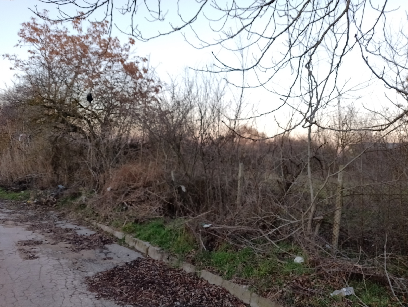 Продава Парцел област Варна , с. Червенци , 2000 кв.м | 29480667 — Imoti.com Продава Парцел област Варна , с. Червенци , 2000 кв.м | 29480667