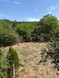 Продава КЪЩА, област Монтана, с. Видлица • 45000 € / 88012.35 лв. • 97053478 2 — Holmes.bg Продава КЪЩА, област Монтана, с. Видлица • 45000 € / 88012.35 лв. • 97053478 2
