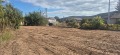 Продава ПАРЦЕЛ, област Варна, с. Осеново • 180000 € • 67291975 8 — Holmes.bg Продава ПАРЦЕЛ, област Варна, с. Осеново • 180000 € • 67291975 8
