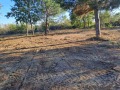 Продава ПАРЦЕЛ, област Бургас, гр. Царево • 55000 € / 107570.65 лв. • 25147792 1 — Holmes.bg Продава ПАРЦЕЛ, област Бургас, гр. Царево • 55000 € / 107570.65 лв. • 25147792 1