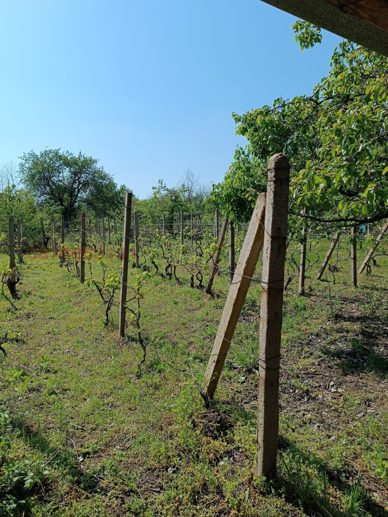 Продава ВИЛА, област Русе, главен път Е85 • 20000 € / 39116.60 лв. • 42713773 1 — Holmes.bg Продава ВИЛА, област Русе, главен път Е85 • 20000 € / 39116.60 лв. • 42713773 1