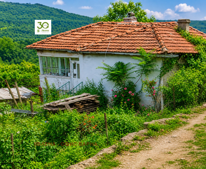 Продава КЪЩА, област Варна, с. Генерал Кантарджиево • 95000 € / 185803.85 лв. • 85719048 1 — Holmes.bg Продава КЪЩА, област Варна, с. Генерал Кантарджиево • 95000 € / 185803.85 лв. • 85719048 1