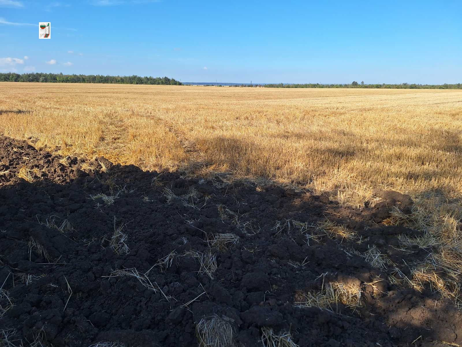 Продава Земеделска земя област Добрич , с. Гурково , 13 дка | 83698732 — Imoti.com Продава Земеделска земя област Добрич , с. Гурково , 13 дка | 83698732