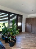 Продава КЪЩА, област Варна, с. Юнец • 249000 € • 91438294 15 — Holmes.bg Продава КЪЩА, област Варна, с. Юнец • 249000 € • 91438294 15