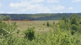 Продава Парцел, с. Русаля