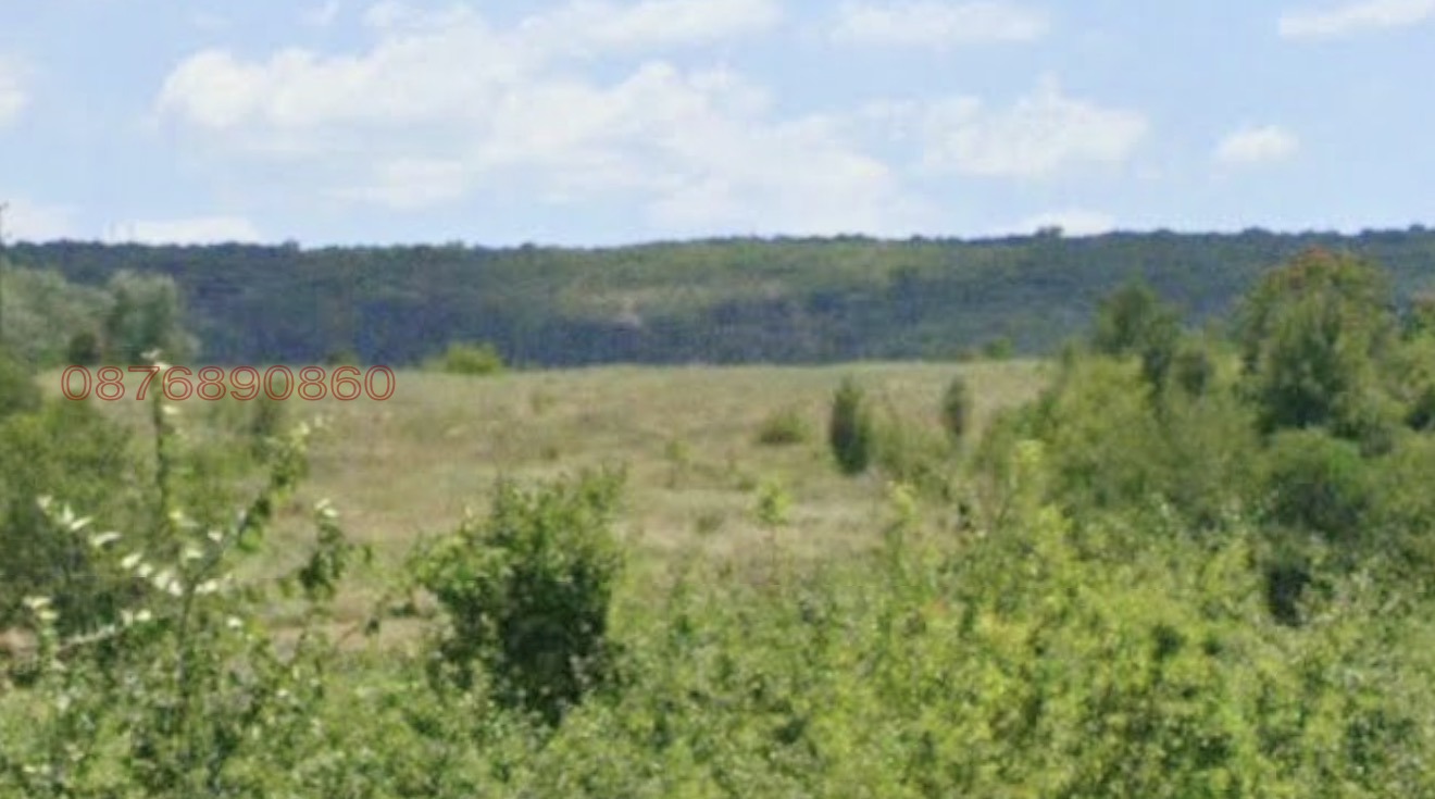 Продава Парцел област Велико Търново , с. Русаля , 900 кв.м | 79579894 — Imoti.com Продава Парцел област Велико Търново , с. Русаля , 900 кв.м | 79579894