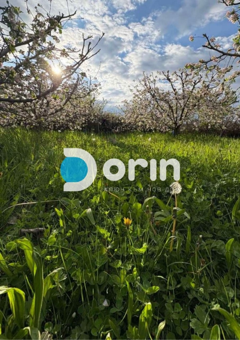 Продава ПАРЦЕЛ, област Пловдив, с. Строево • 99900 € / 195387.42 лв. • 62419748 1 — Holmes.bg Продава ПАРЦЕЛ, област Пловдив, с. Строево • 99900 € / 195387.42 лв. • 62419748 1