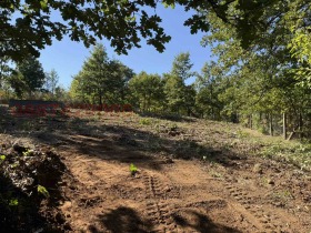 Обява Продава ПАРЦЕЛ,с. Тополница, област Кюстендил