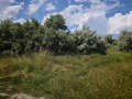 Продава ПАРЦЕЛ, област Бургас, к.к. Слънчев бряг • 192000 € • 93716749 1 — Holmes.bg Продава ПАРЦЕЛ, област Бургас, к.к. Слънчев бряг • 192000 € • 93716749 1