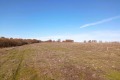 Продава Земеделска земя област Варна , с. Климентово , 30 дка | 55845564 — Imoti.com Продава Земеделска земя област Варна , с. Климентово , 30 дка | 55845564