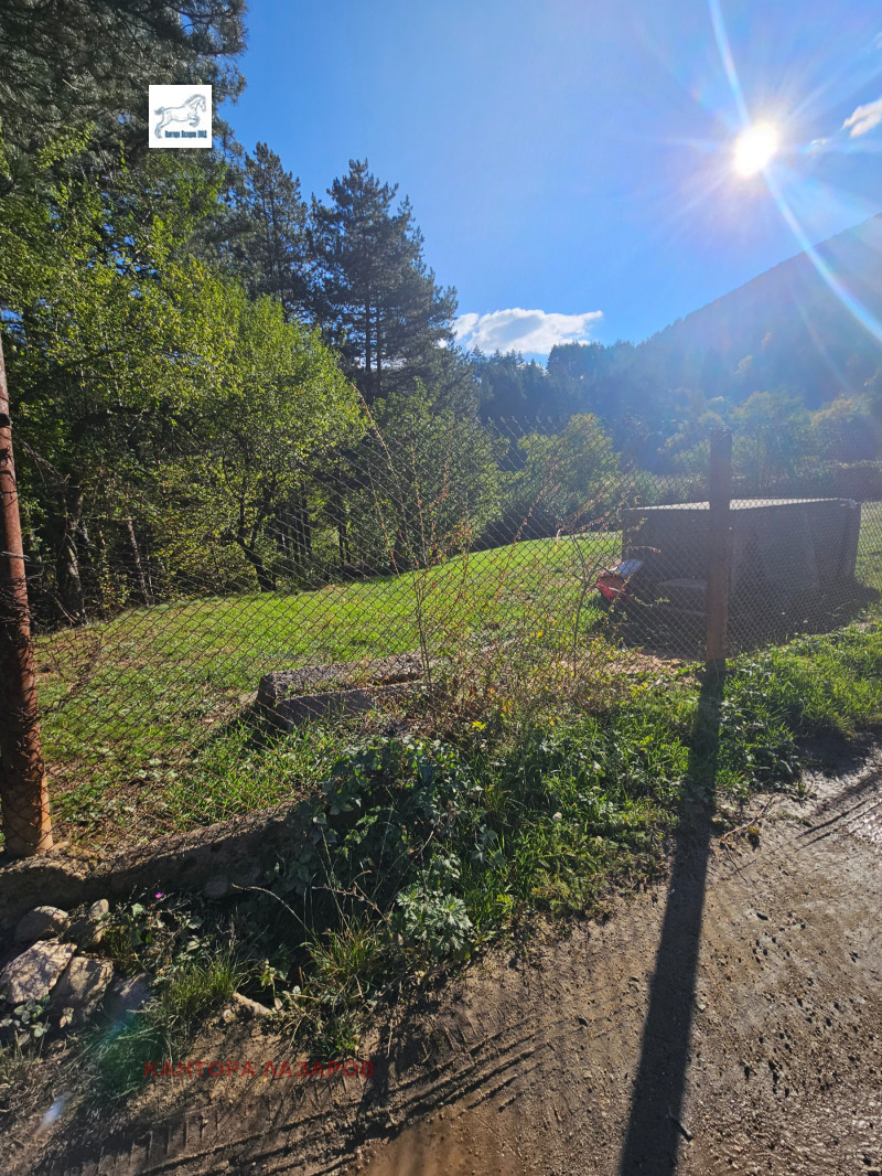 Продава ПАРЦЕЛ, област Кюстендил, с. Паничище • 291600 лв. / 149092.71 € • 36632067 1 — Holmes.bg Продава ПАРЦЕЛ, област Кюстендил, с. Паничище • 291600 лв. / 149092.71 € • 36632067 1