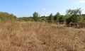 Продава Парцел област Бургас , с. Варвара , 4000 кв.м | 48145053 — Imoti.com Продава Парцел област Бургас , с. Варвара , 4000 кв.м | 48145053