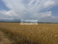 Продава Парцел град Пловдив , Кършияка , 2900 кв.м | 16356879 — Imoti.com Продава Парцел град Пловдив , Кършияка , 2900 кв.м | 16356879