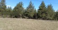 Продава ПАРЦЕЛ, област Благоевград, с. Баня • 54000 € • 12747781 1 — Holmes.bg Продава ПАРЦЕЛ, област Благоевград, с. Баня • 54000 € • 12747781 1