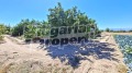 Продава Парцел област Пловдив , с. Цалапица , 3590 кв.м | 25192130 — Imoti.com Продава Парцел област Пловдив , с. Цалапица , 3590 кв.м | 25192130
