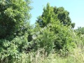 Продава ПАРЦЕЛ, град София, с. Бистрица • 270000 € / 528074.10 лв. • 93142470 1 — Holmes.bg Продава ПАРЦЕЛ, град София, с. Бистрица • 270000 € / 528074.10 лв. • 93142470 1