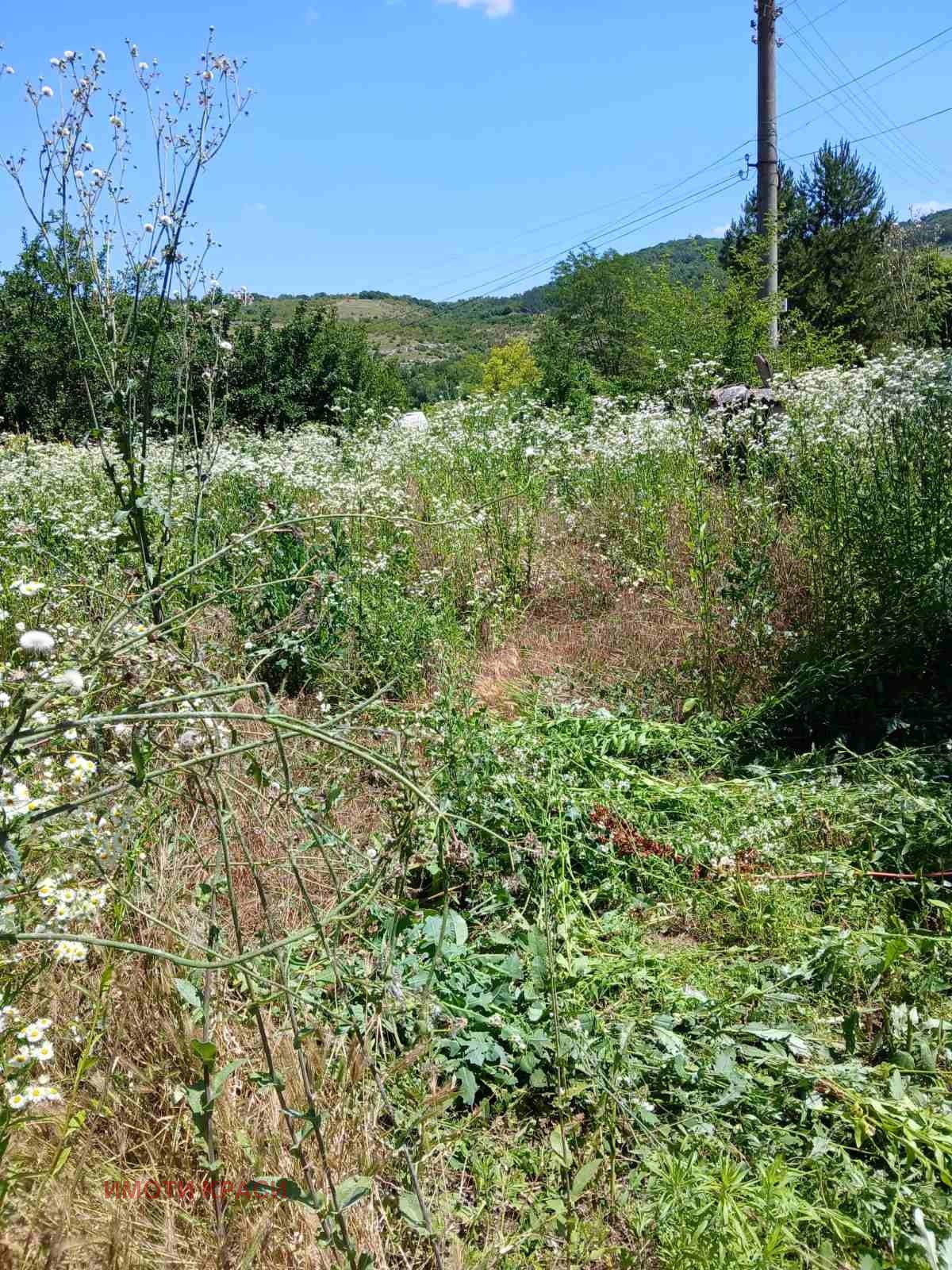 Продава Парцел област Русе , с. Ново село , 960 кв.м | 99922578 — Imoti.com Продава Парцел област Русе , с. Ново село , 960 кв.м | 99922578