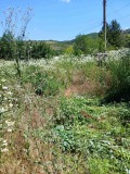 Продава Парцел област Русе , с. Ново село , 960 кв.м | 99922578 — Imoti.com Продава Парцел област Русе , с. Ново село , 960 кв.м | 99922578