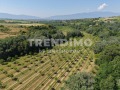 Продава ПАРЦЕЛ, област Благоевград, гр. Мелник • 425000 € / 831227.75 лв. • 67743318 5 — Holmes.bg Продава ПАРЦЕЛ, област Благоевград, гр. Мелник • 425000 € / 831227.75 лв. • 67743318 5