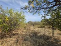 Продава ПАРЦЕЛ, област Пловдив, гр. Хисаря • 26000 € • 19405041 1 — Holmes.bg Продава ПАРЦЕЛ, област Пловдив, гр. Хисаря • 26000 € • 19405041 1