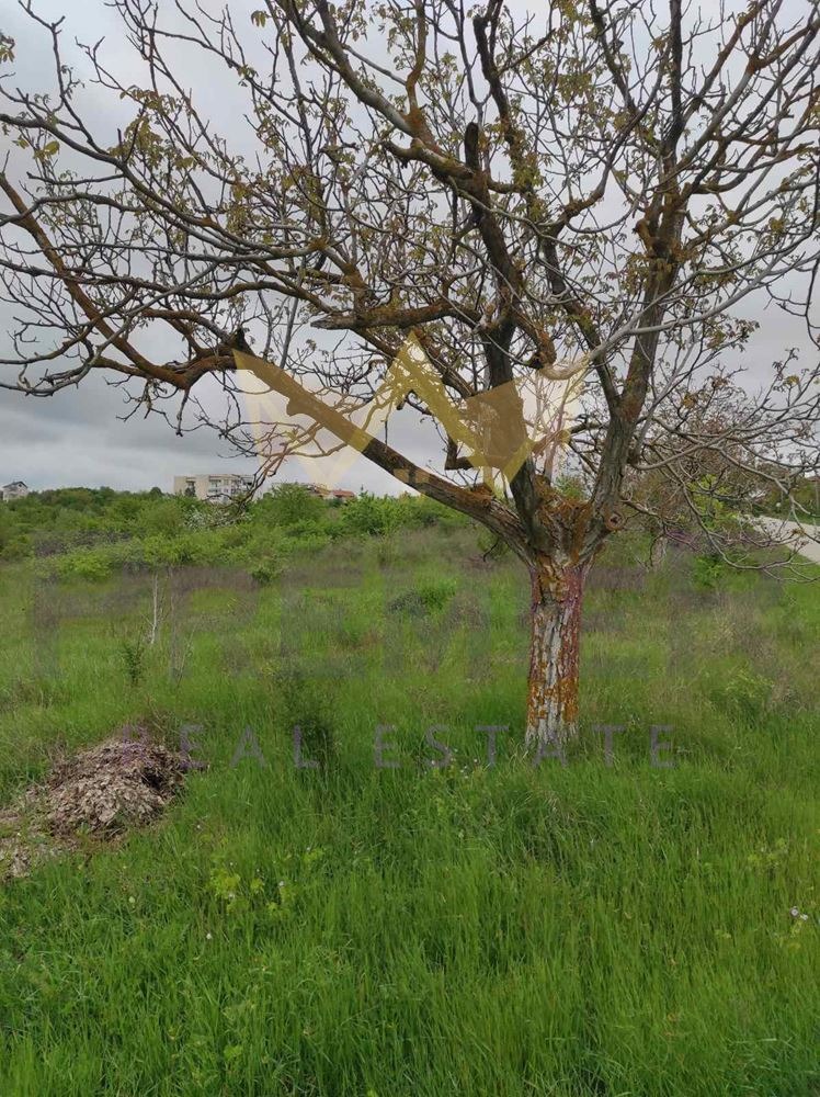 Продава ПАРЦЕЛ, област Варна, с. Близнаци • 23000 € / 44984.09 лв. • 93113979 1 — Holmes.bg Продава ПАРЦЕЛ, област Варна, с. Близнаци • 23000 € / 44984.09 лв. • 93113979 1