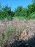 Продава Къща област Русе , с. Пиргово , 100 кв.м | 81373289 — Imoti.com Продава Къща област Русе , с. Пиргово , 100 кв.м | 81373289