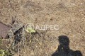 Продава ПАРЦЕЛ, област Добрич, с. Кранево • 21000 € • 48339251 9 — Holmes.bg Продава ПАРЦЕЛ, област Добрич, с. Кранево • 21000 € • 48339251 9