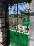Продава КЪЩА, област Шумен, с. Каменяк • 23000 € / 44984.09 лв. • 40661032 2 — Holmes.bg Продава КЪЩА, област Шумен, с. Каменяк • 23000 € / 44984.09 лв. • 40661032 2