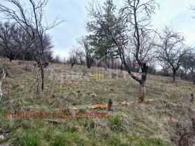 Обява Продава ВИЛА,с. Ръжавец, област Перник