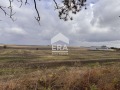 Продава Парцел град Добрич , Балик , 7801 кв.м | 39633026 — Imoti.com Продава Парцел град Добрич , Балик , 7801 кв.м | 39633026