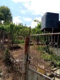 Продава ПРОМ. ПОМЕЩЕНИЕ, област Велико Търново, с. Шемшево • 99500 € • 38527534 4 — Holmes.bg Продава ПРОМ. ПОМЕЩЕНИЕ, област Велико Търново, с. Шемшево • 99500 € • 38527534 4