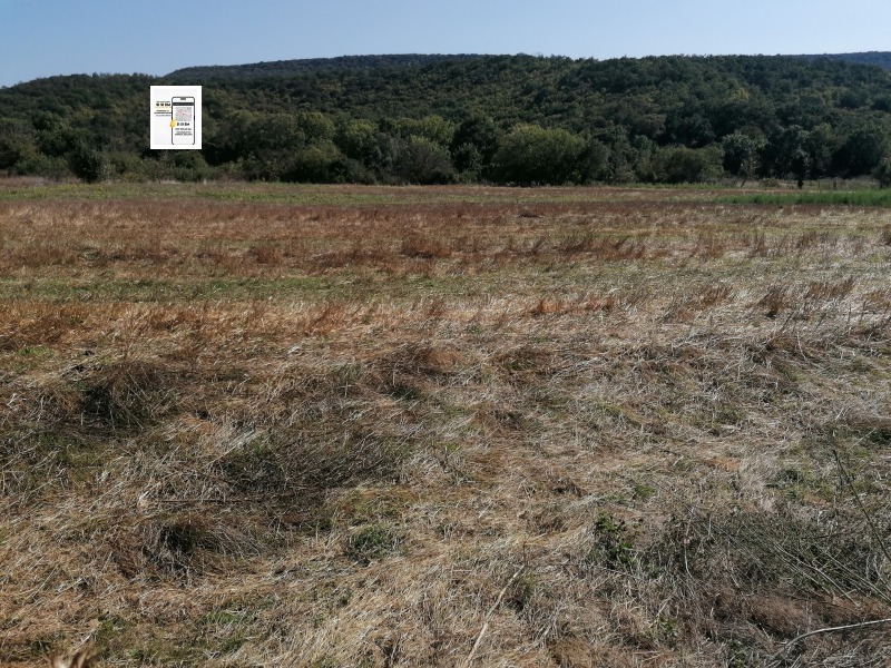 Продава ПАРЦЕЛ, област Добрич, с. Църква • 332200 € • 63441065 1 — Holmes.bg Продава ПАРЦЕЛ, област Добрич, с. Църква • 332200 € • 63441065 1