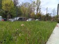 Продава 1-СТАЕН, град София, Оборище • 87000 € • 83602523 4 — Holmes.bg Продава 1-СТАЕН, град София, Оборище • 87000 € • 83602523 4